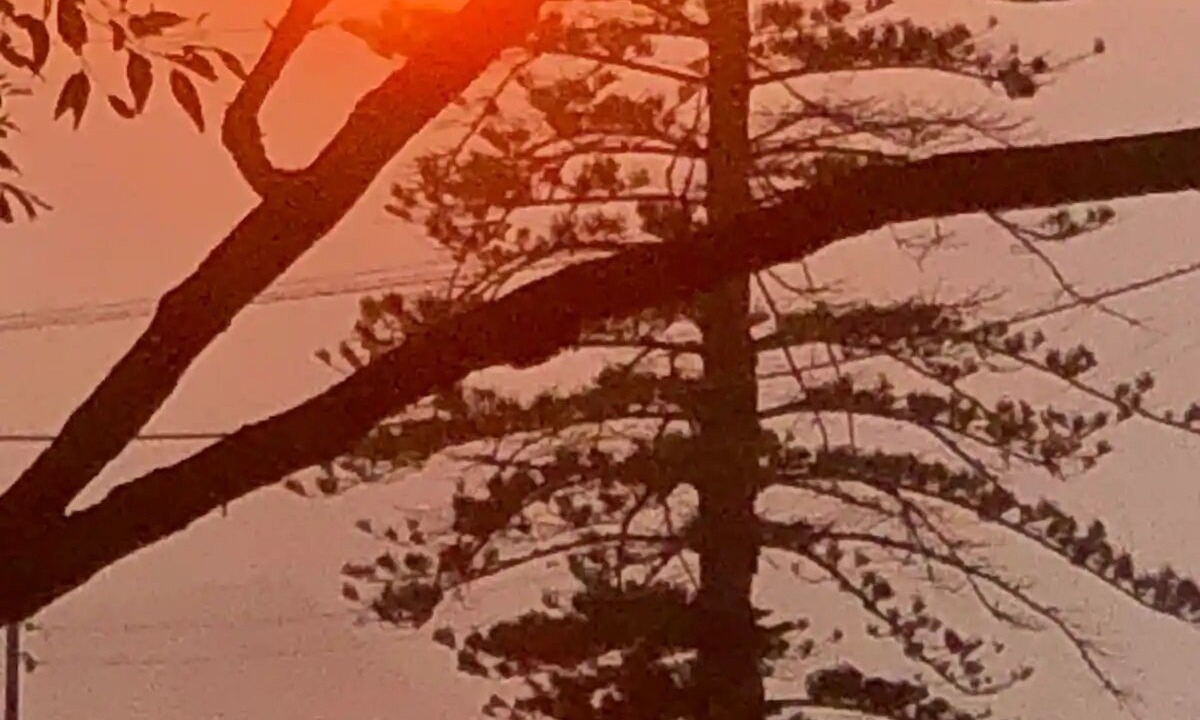 Photo of Others in Pindimar