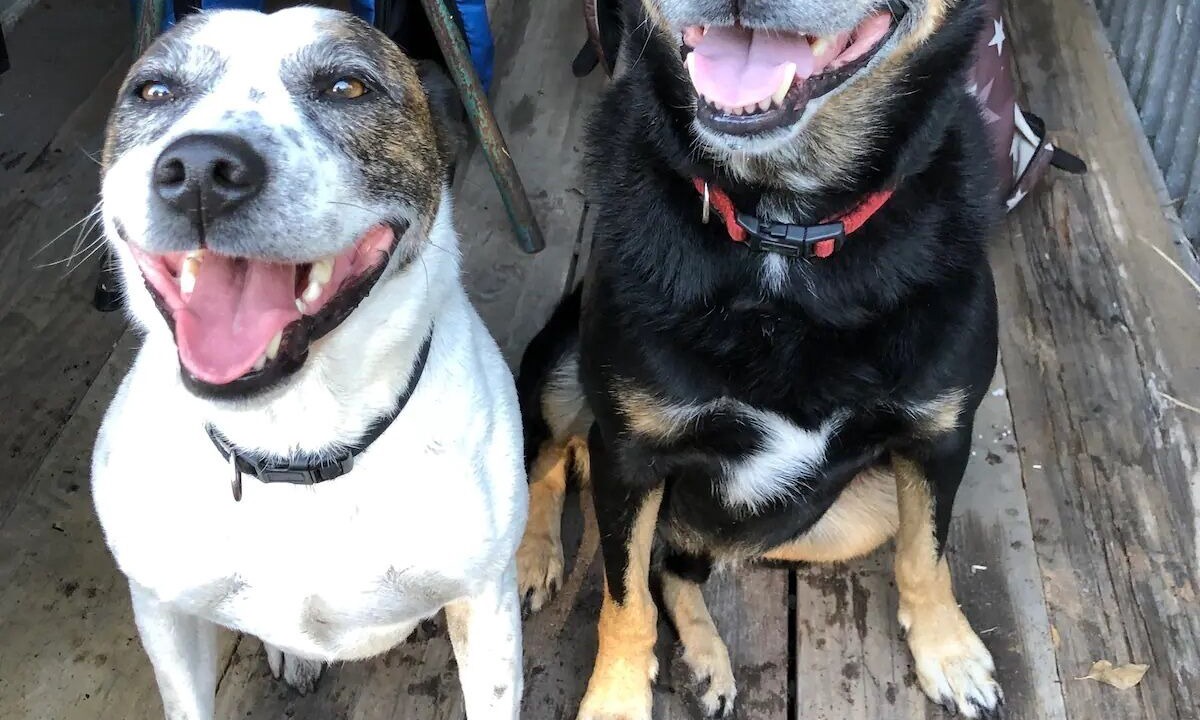 Photo of Others in Pindimar