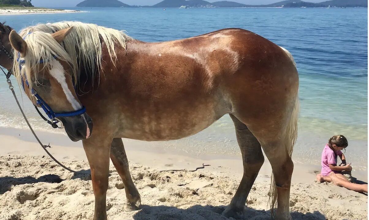 Photo of Others in Pindimar