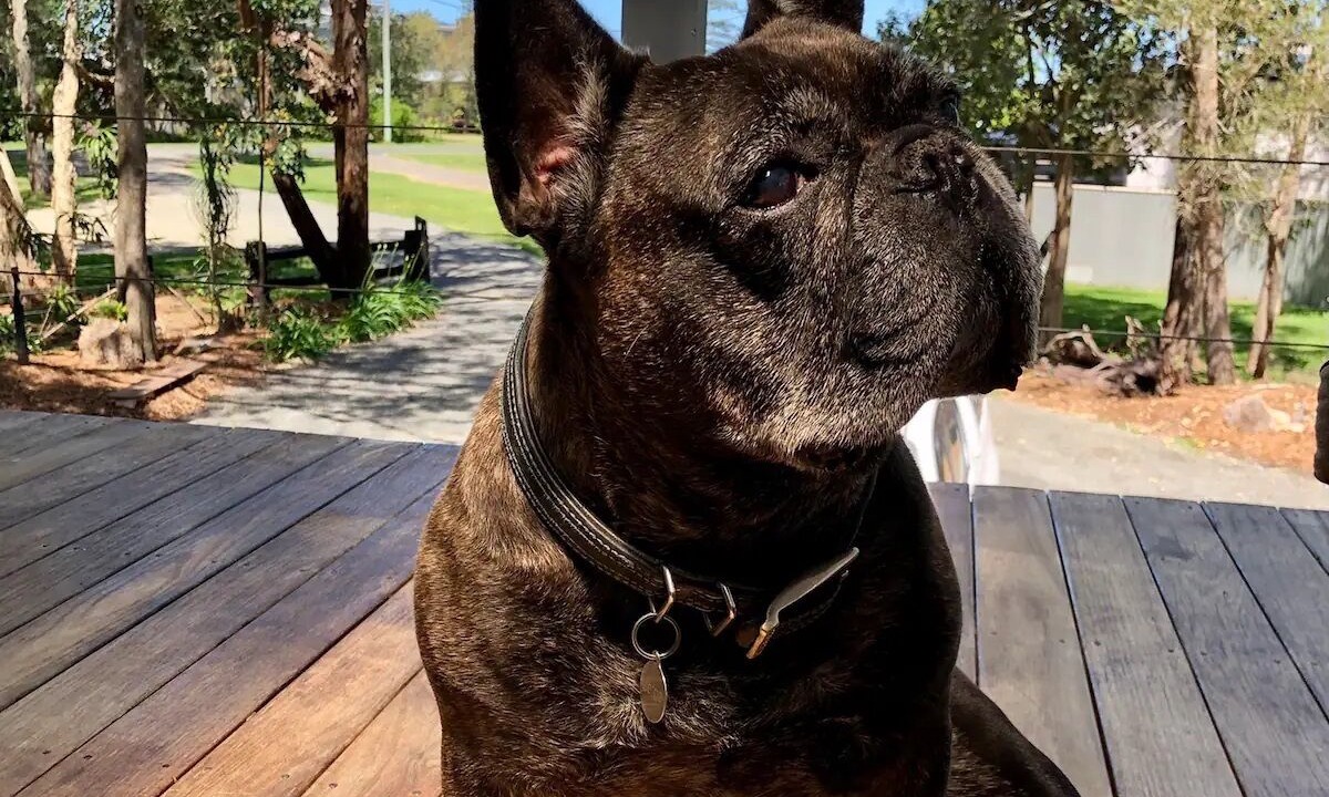 Photo of Others in Pindimar