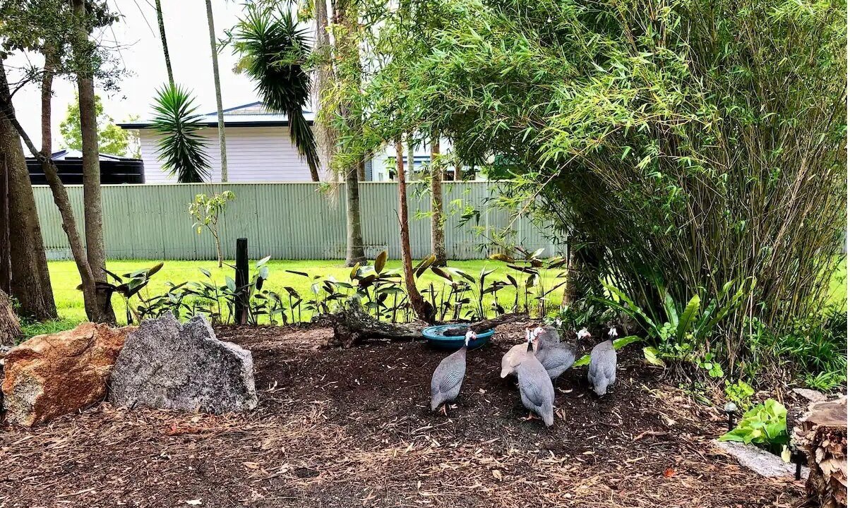 Photo of Outdoor in Pindimar