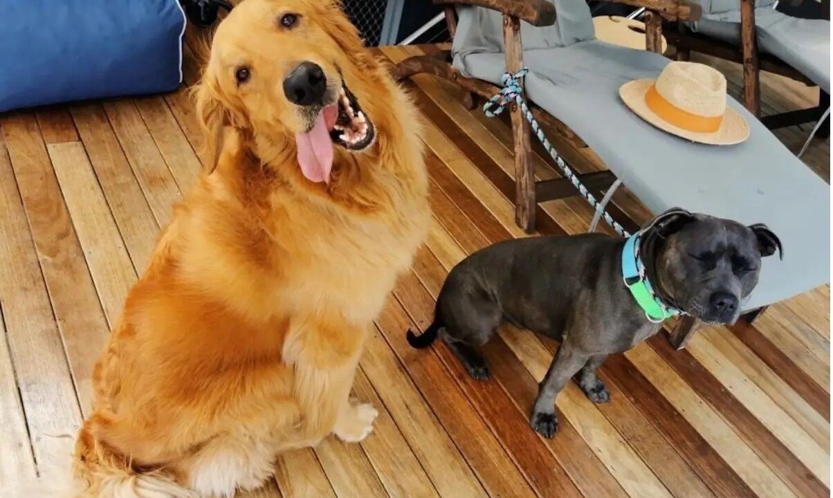 Photo of Others in Pindimar