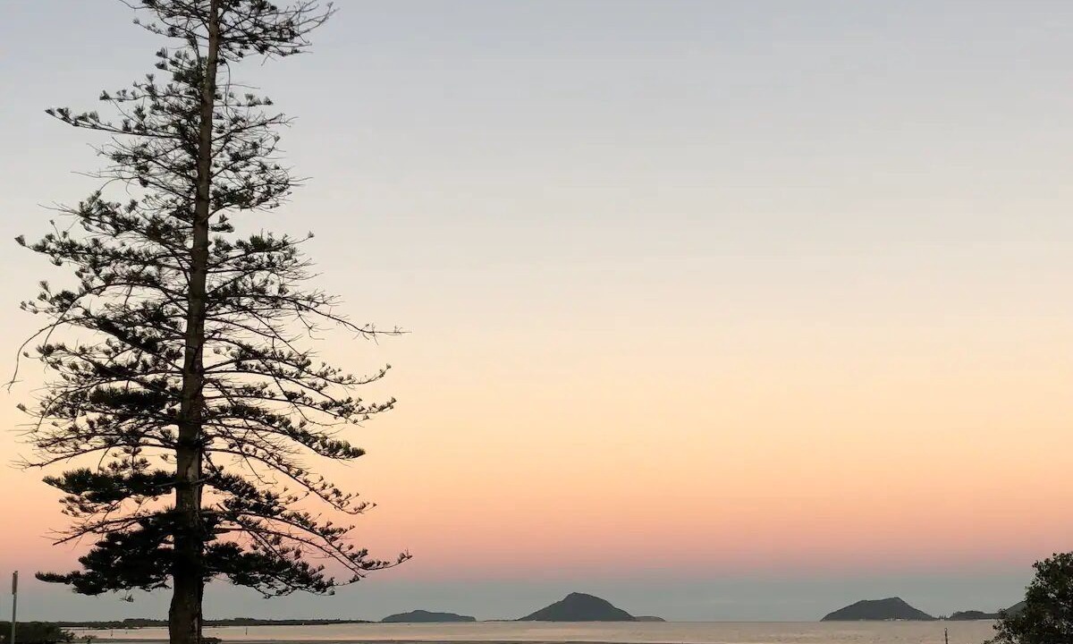 Photo of Others in Pindimar