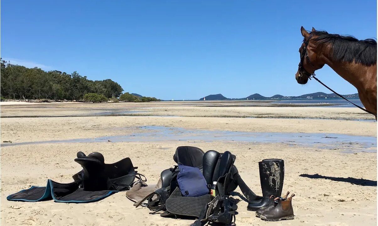 Photo of Others in Pindimar