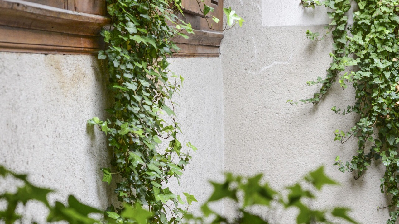 Photo of Outdoor in Chambery