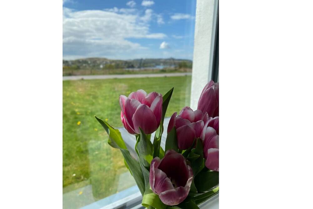 Photo of Others in Benderloch