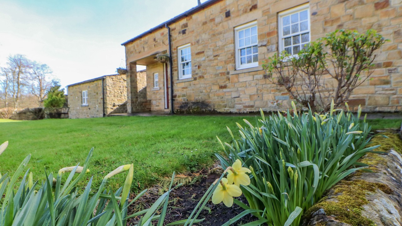 Photo of Others in Greta Bridge