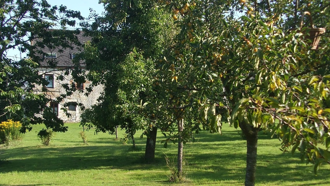 Photo of Outdoor in Bossus-les-Rumigny