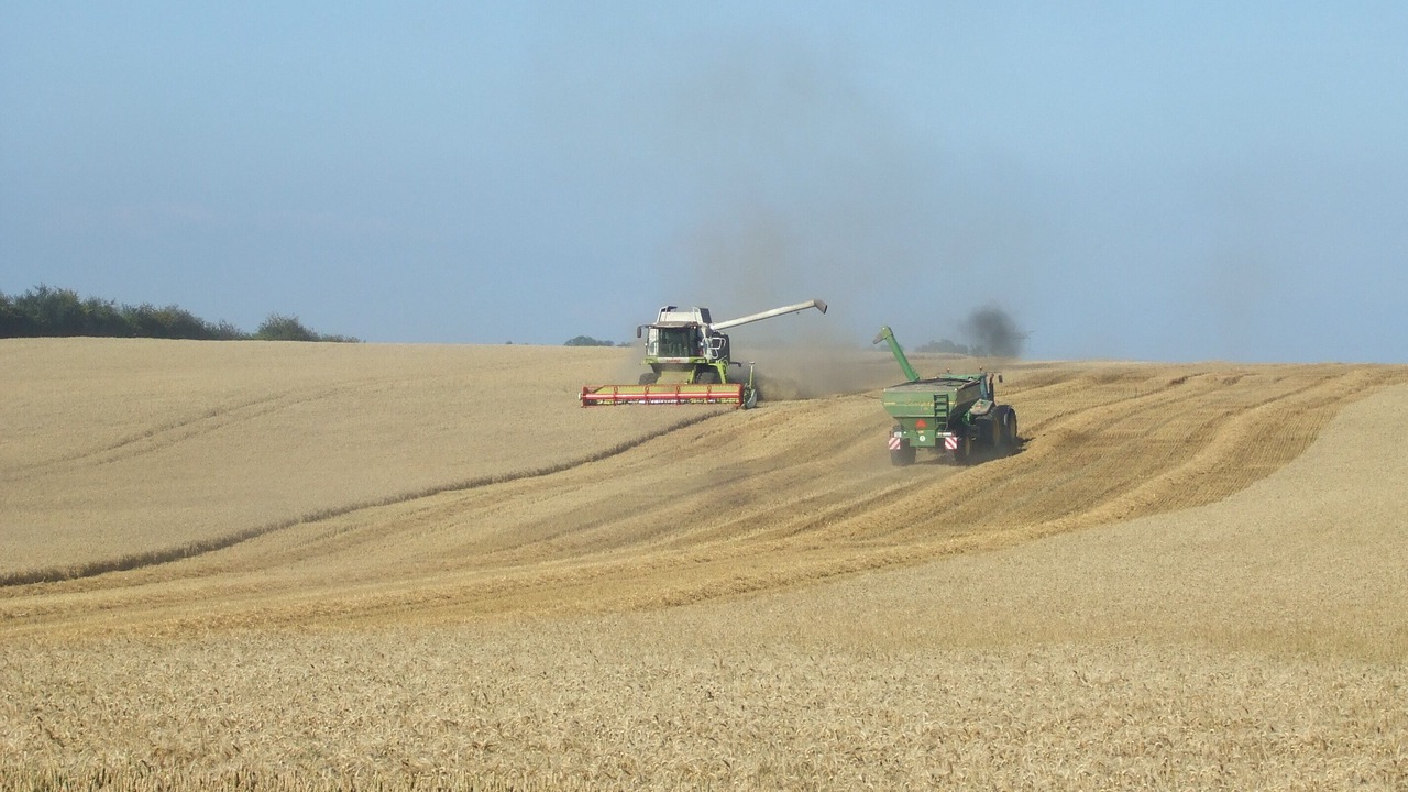 Photo of Others in Bossus-les-Rumigny