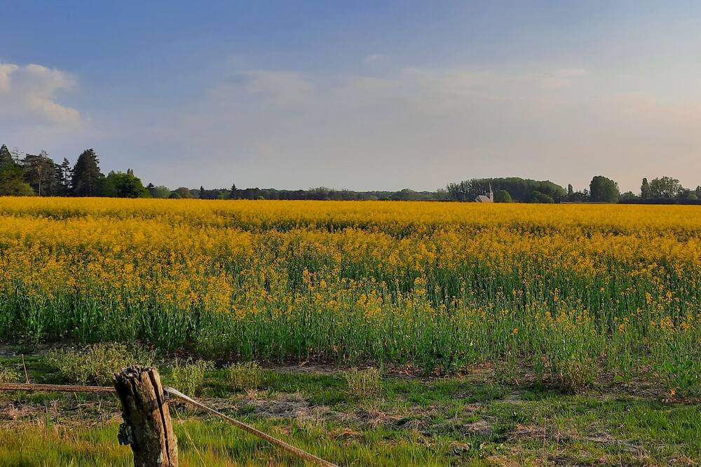 Photo of Others in Courcy-aux-Loges