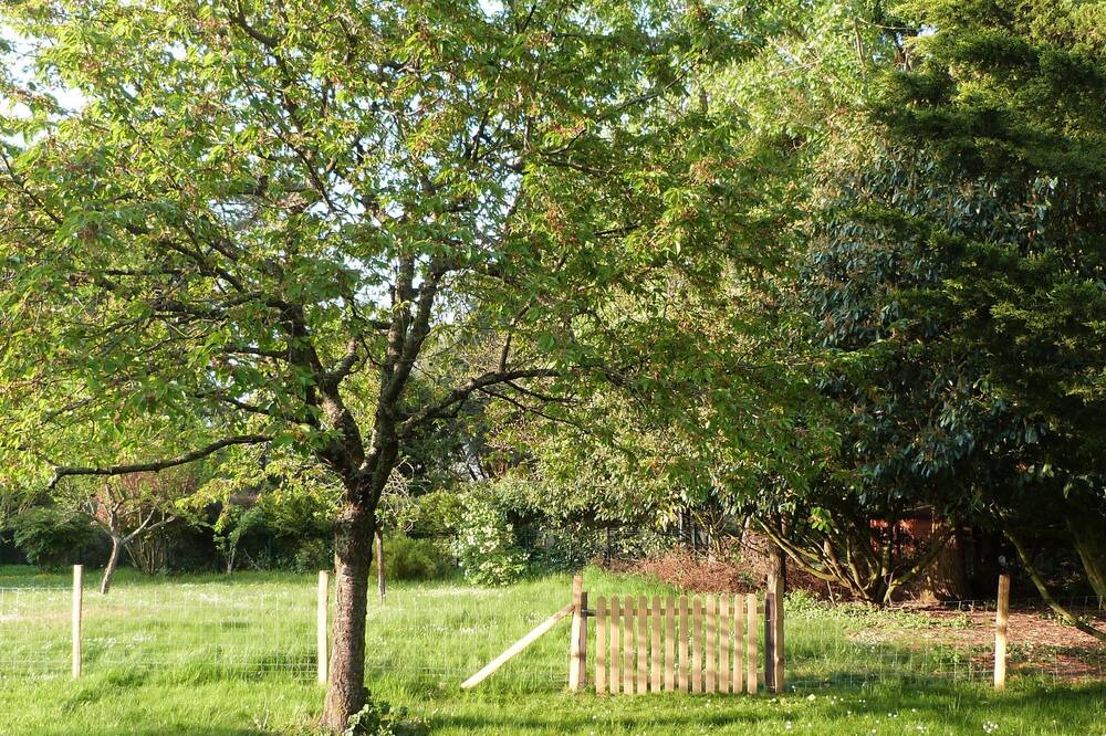 Photo of Others in Courcy-aux-Loges