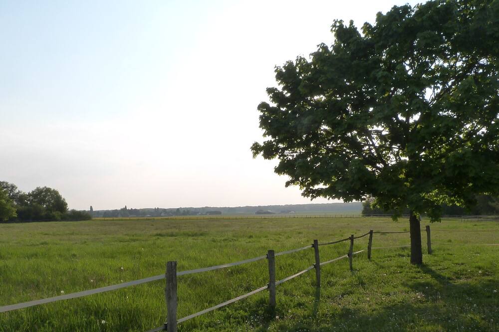 Photo of Others in Courcy-aux-Loges