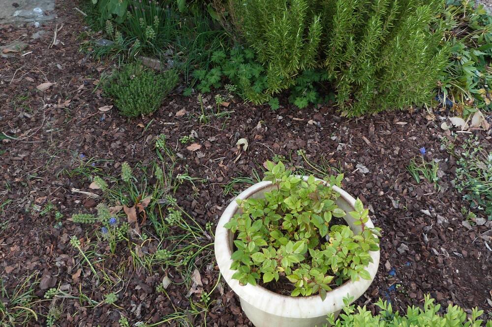Photo of Others in Courcy-aux-Loges