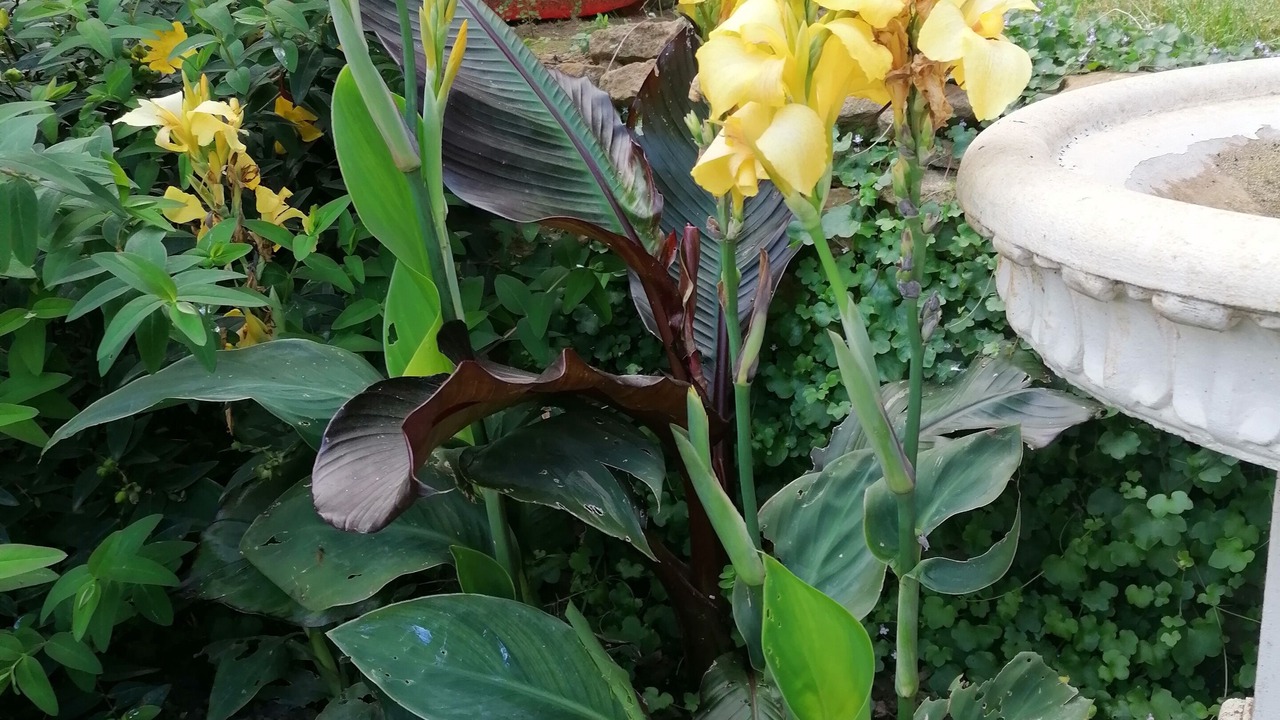 Photo of Outdoor in Great Billing