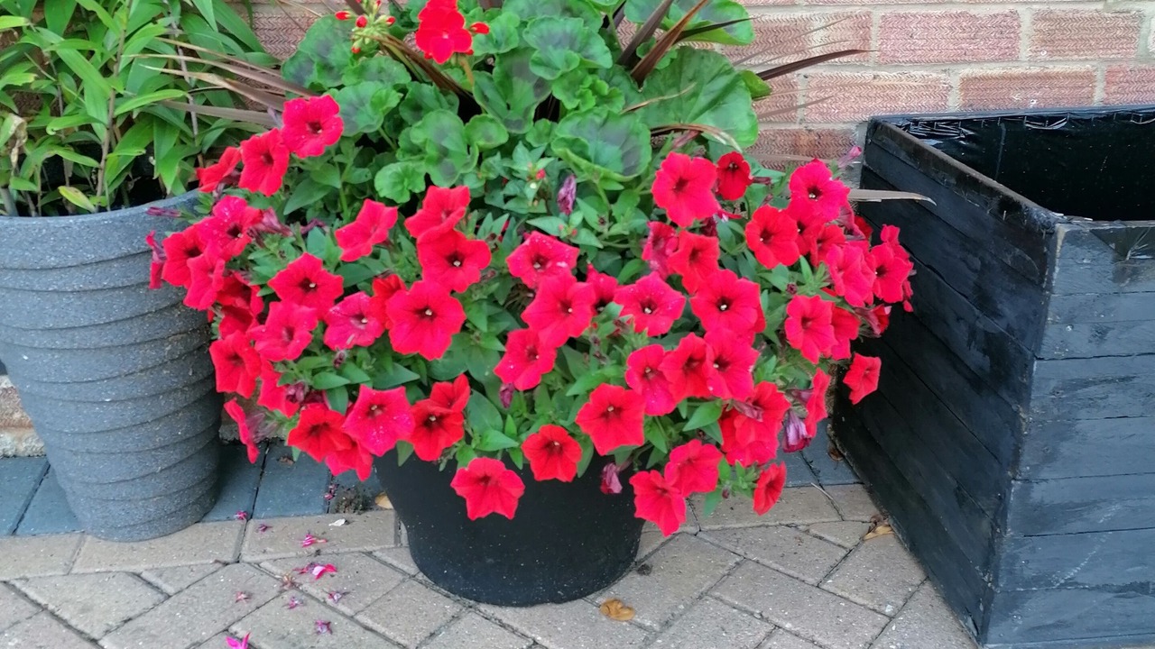 Photo of Others in Great Billing