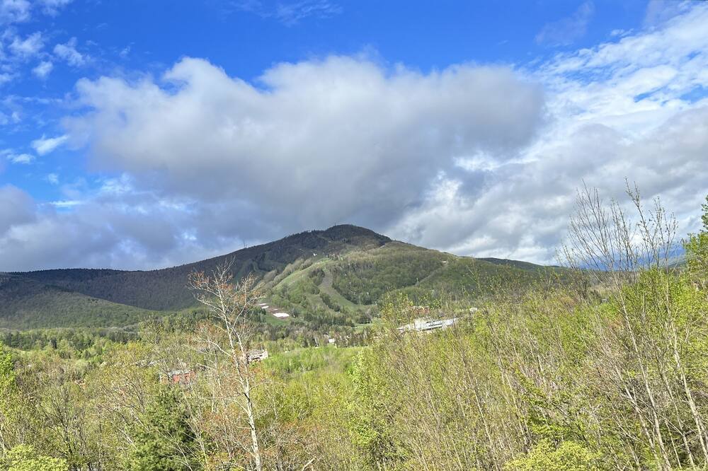 Photo of Others in Hunter