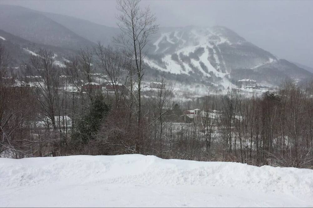 Photo of Others in Hunter