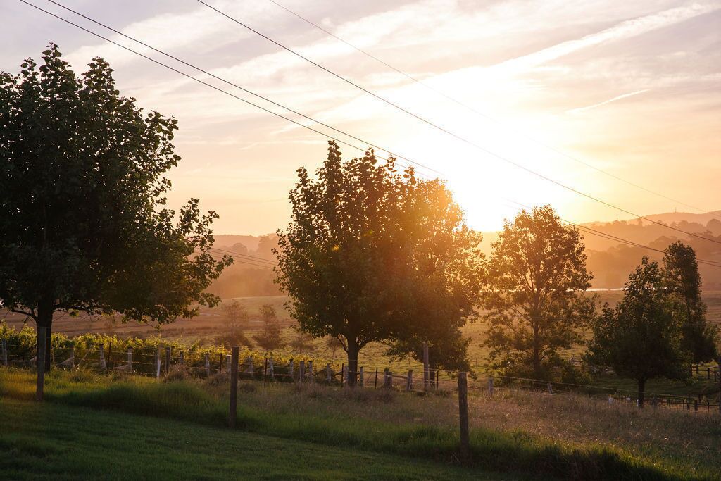 Photo of Outdoor in Ulladulla