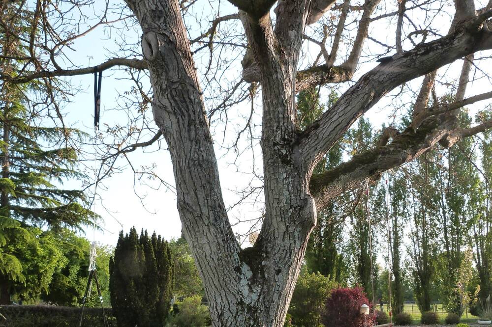 Photo of Outdoor in Courcy-aux-Loges