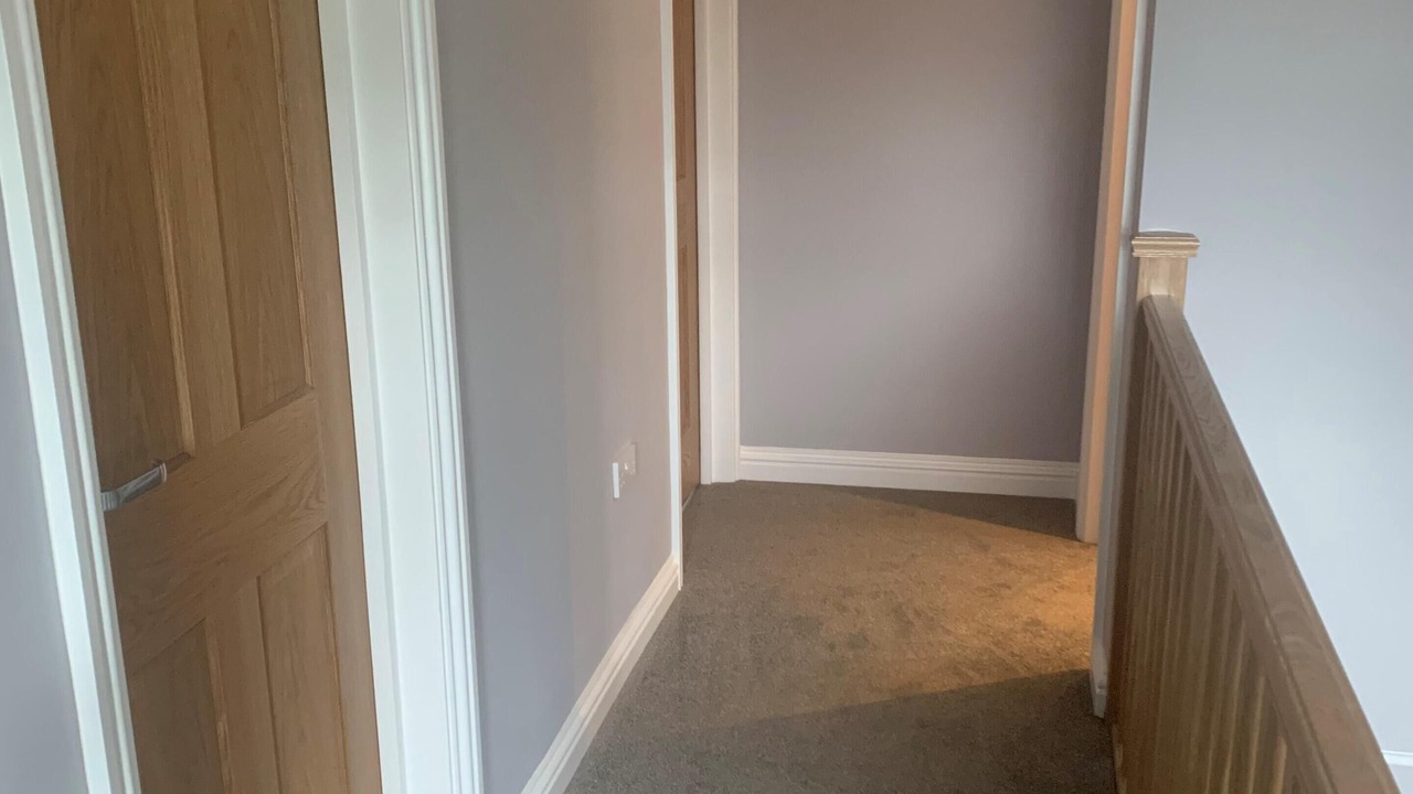 Photo of Others in New Forest District