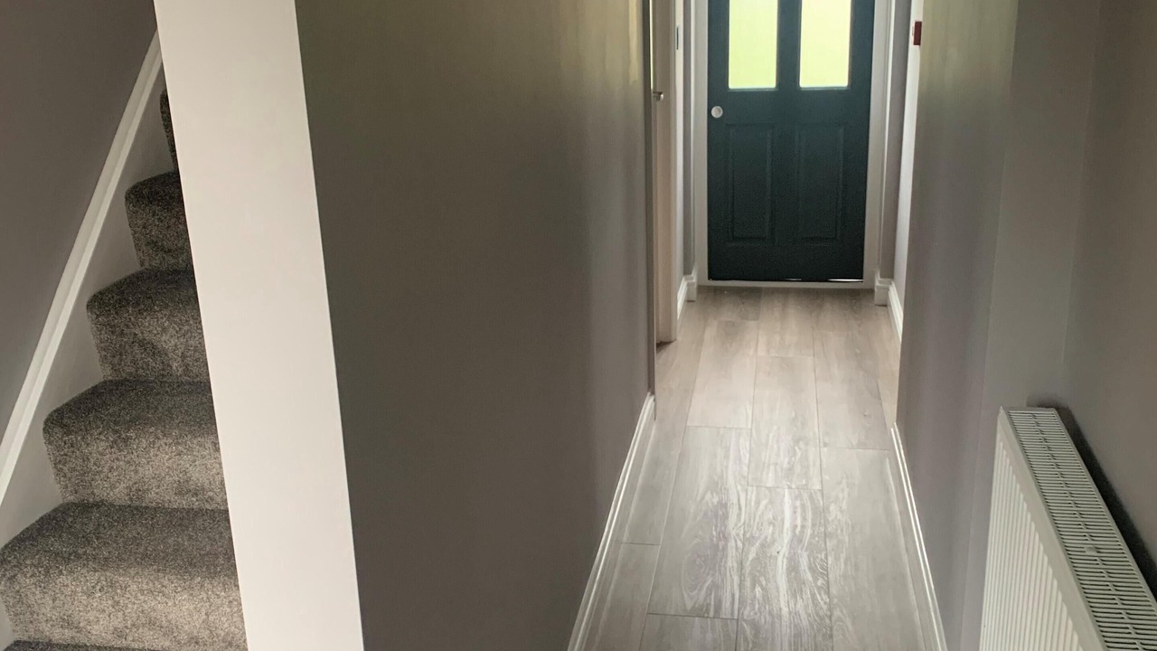 Photo of Others in New Forest District