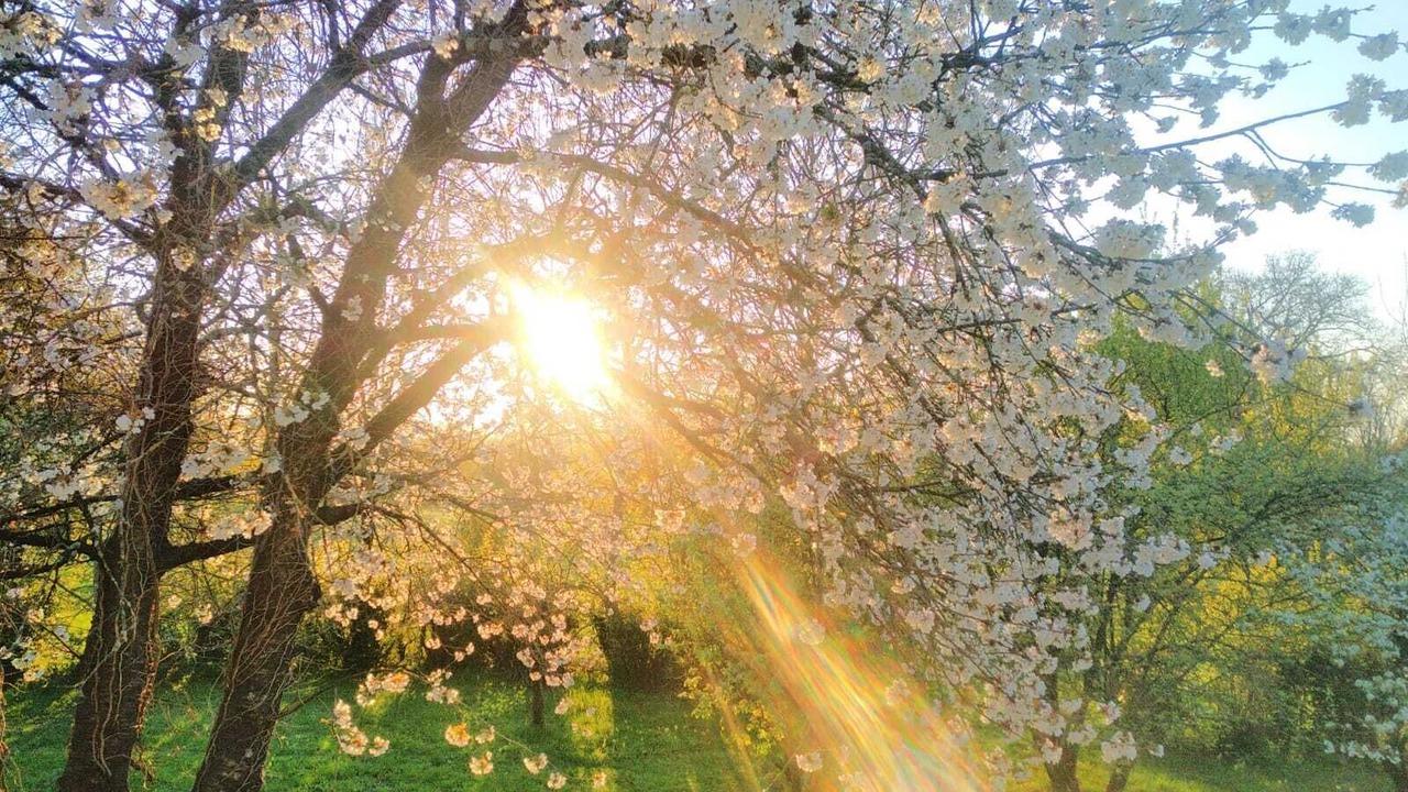 Photo of Outdoor in Aumagne