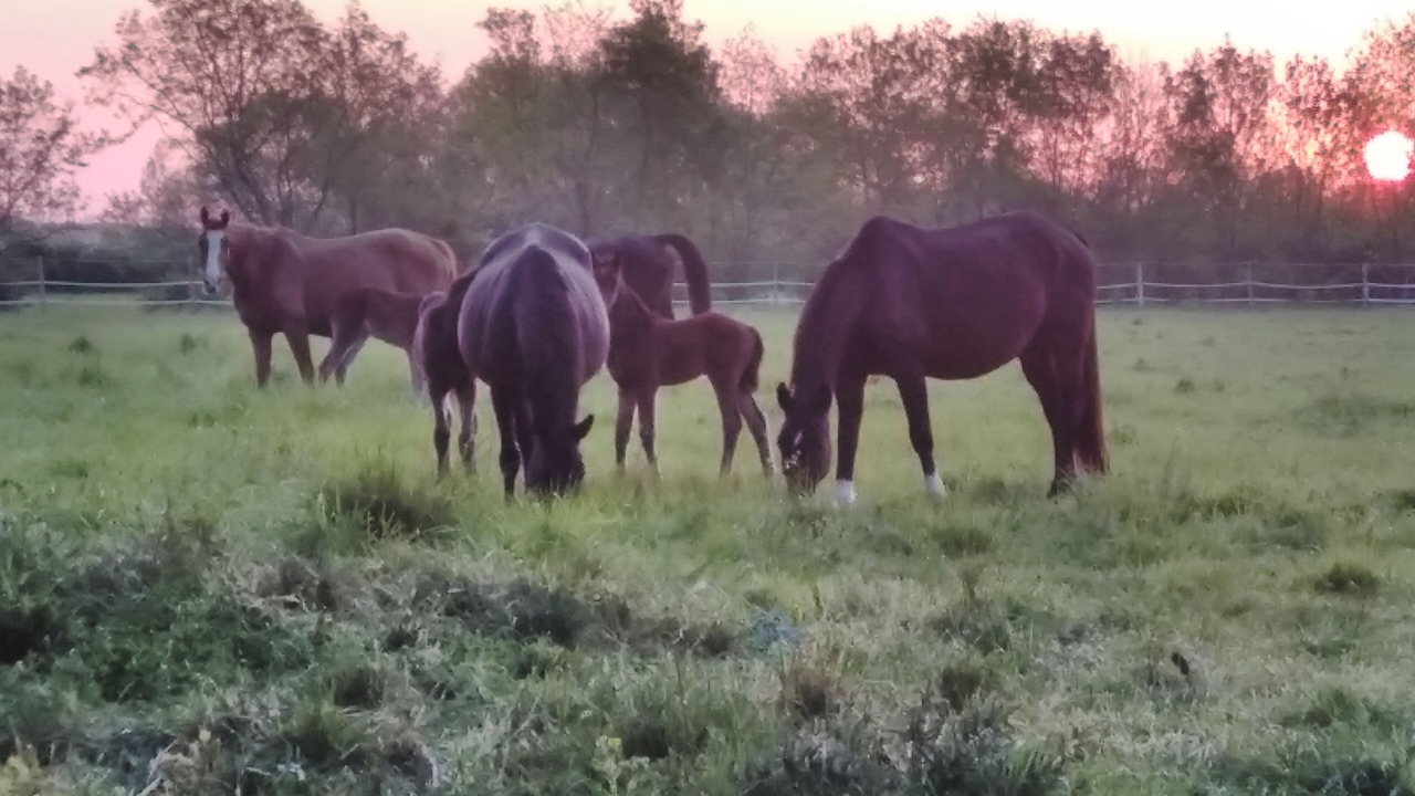 Photo of Outdoor in Aumagne