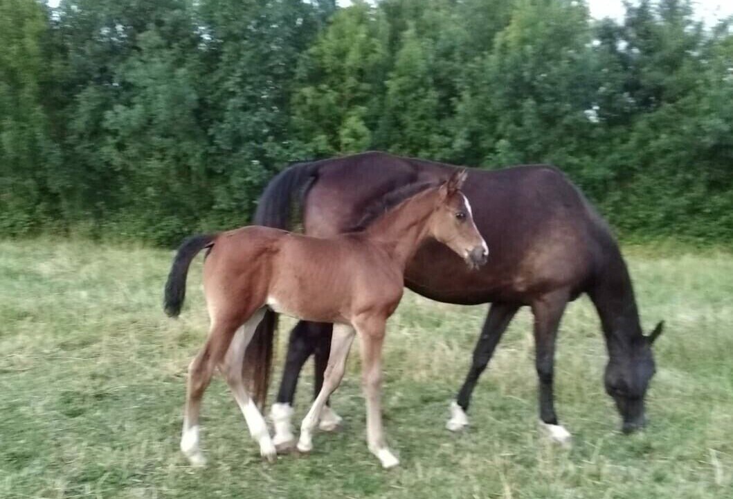 Photo of Others in Aumagne