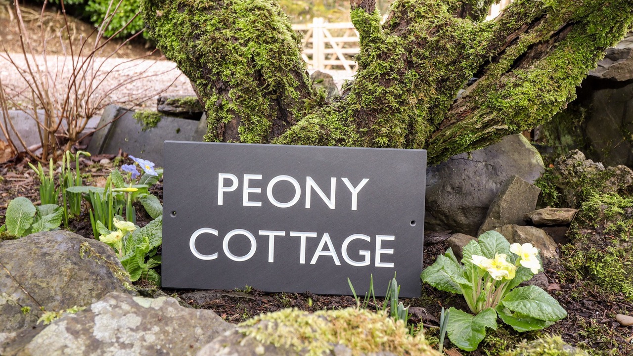 Photo of Others in Lakeside