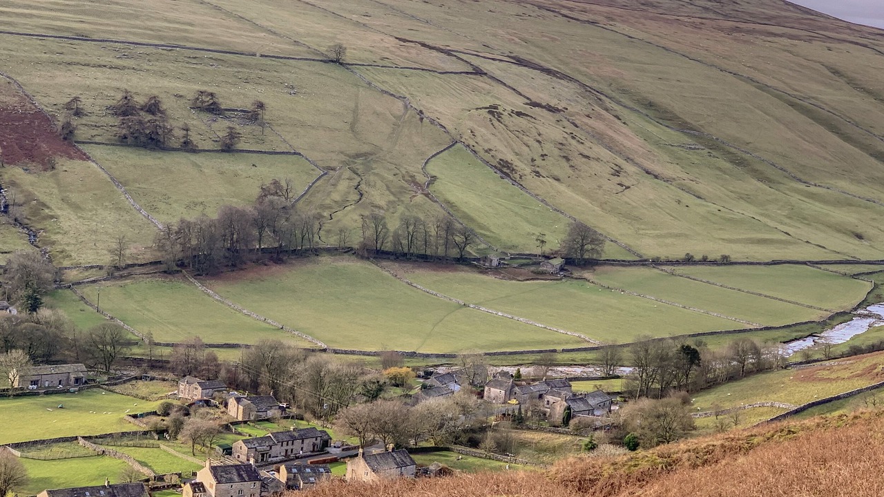 Photo of Others in Litton