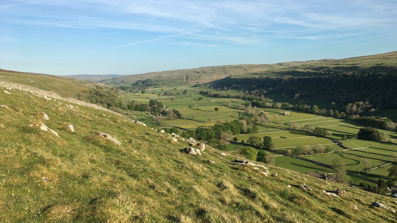 Photo of Others in Litton