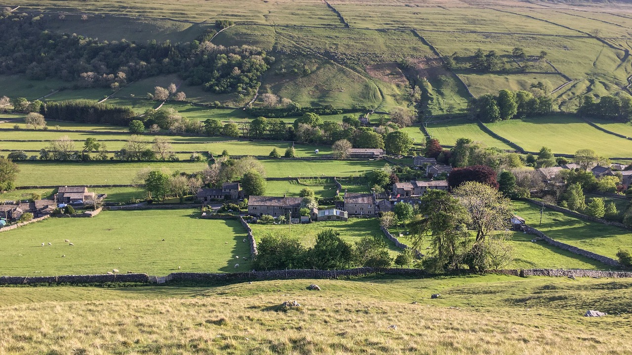 Photo of Others in Litton