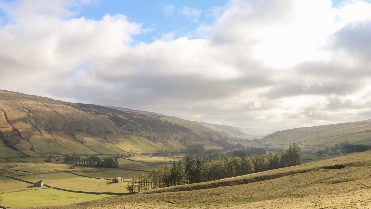 Photo of Others in Litton