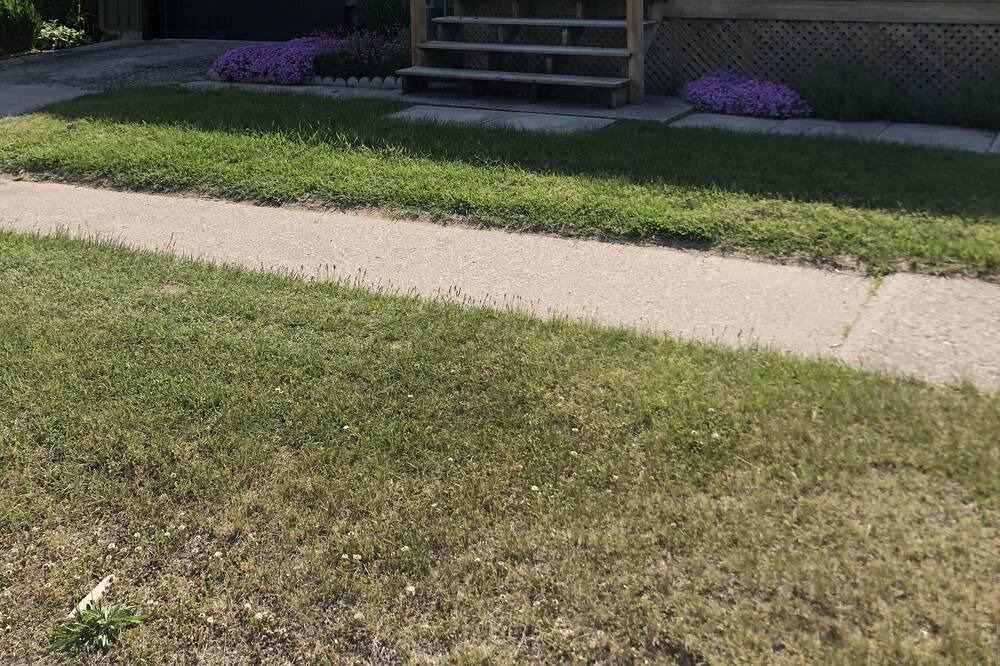 Photo of Others in Port Burwell