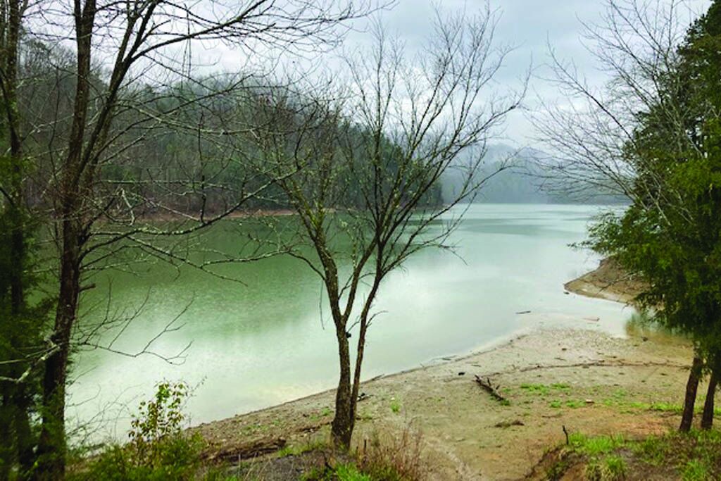 Photo of Outdoor in Tazewell