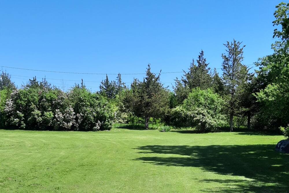 Photo of Outdoor in Cape Vincent