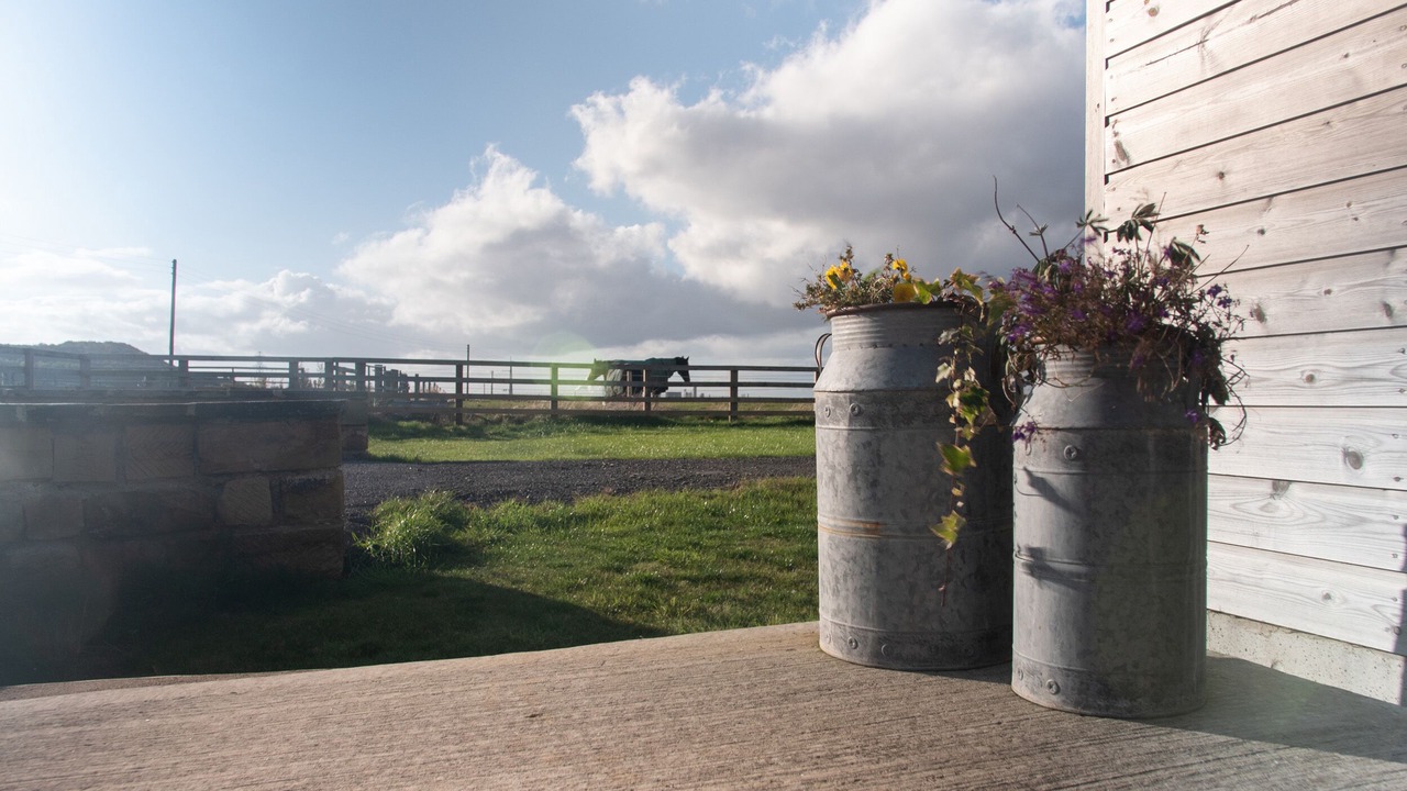 Photo of Others in Redcar