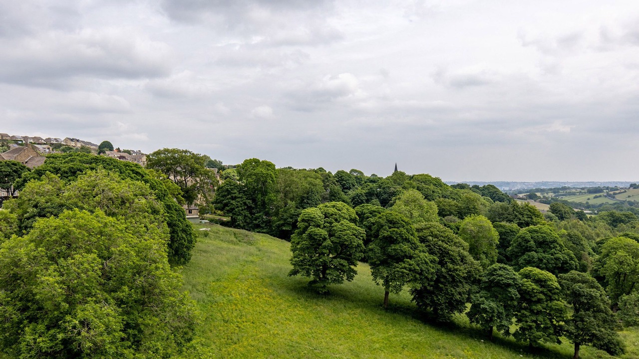 Photo of Others in Thornton