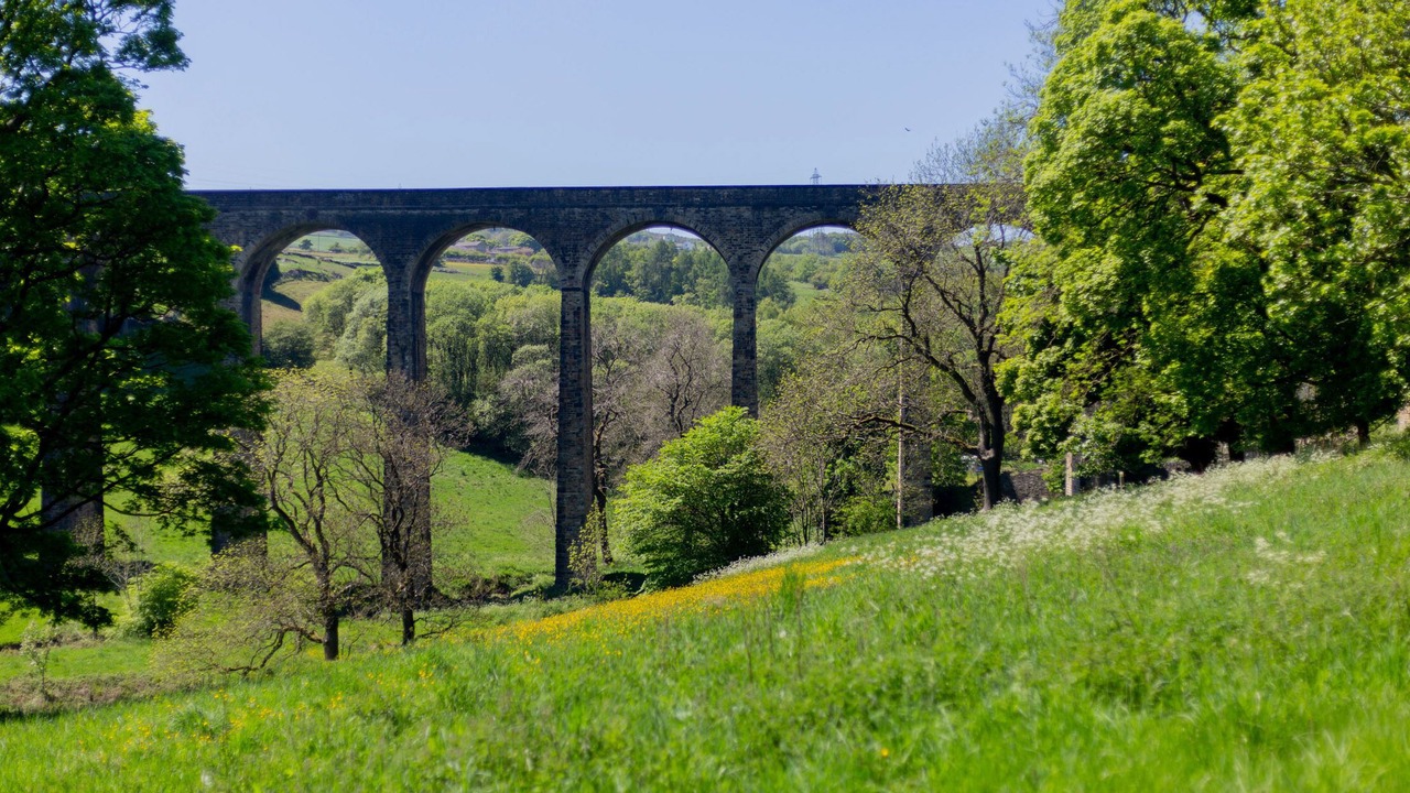 Photo of Others in Thornton