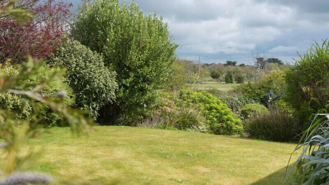 Photo of Others in Rock