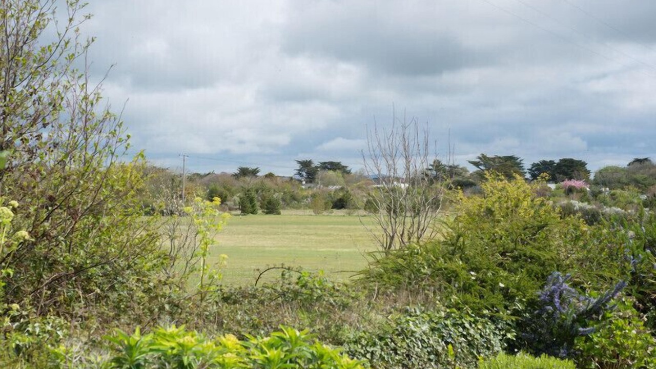 Photo of Others in Rock