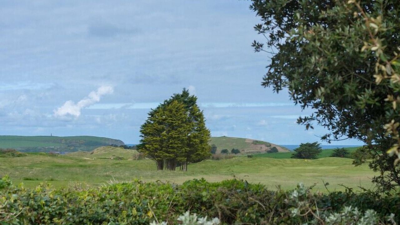 Photo of Others in Rock