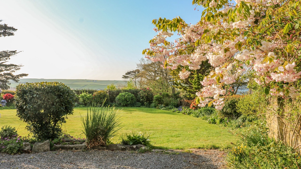 Photo of Others in Thurlestone