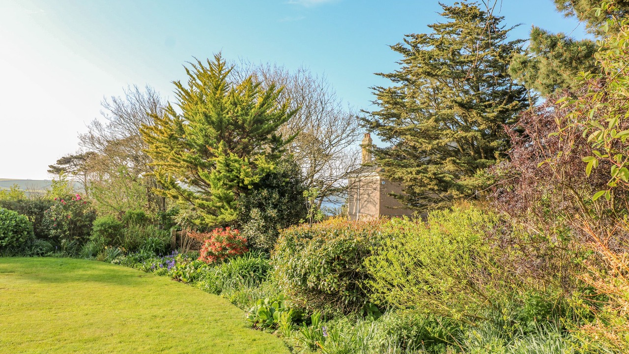 Photo of Others in Thurlestone