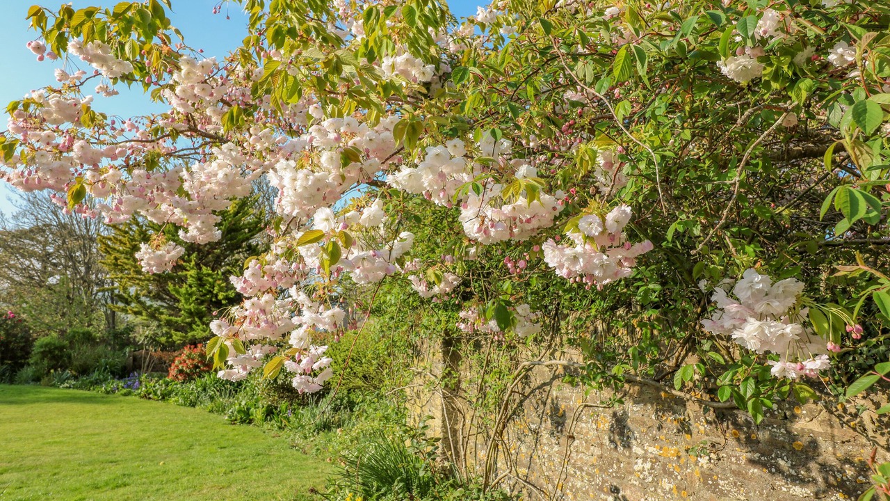 Photo of Others in Thurlestone