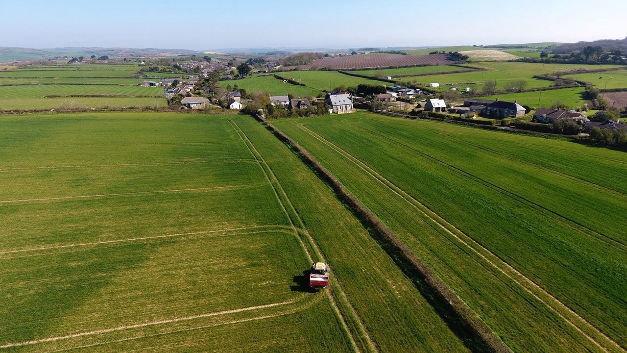 Photo of Others in Ventnor