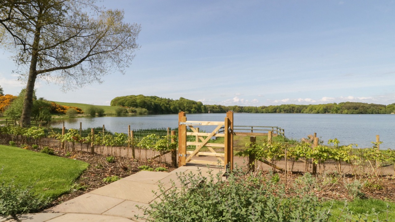 Photo of Others in Wing