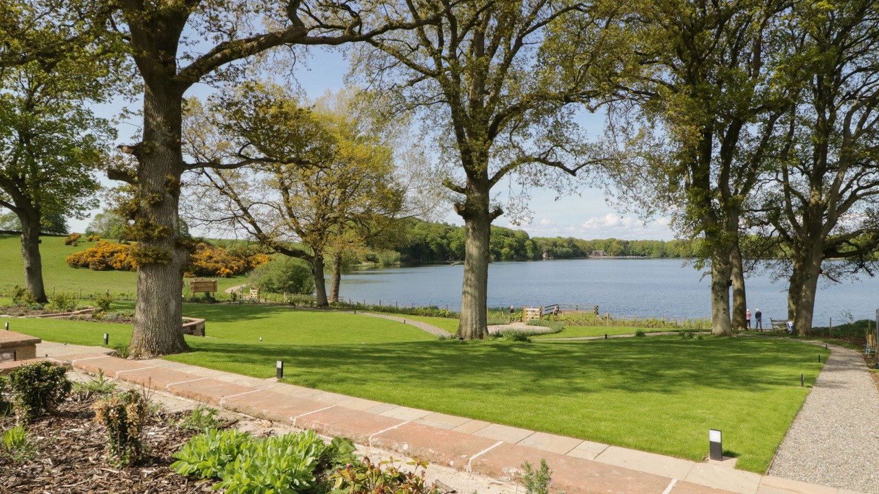 Photo of Others in Wing