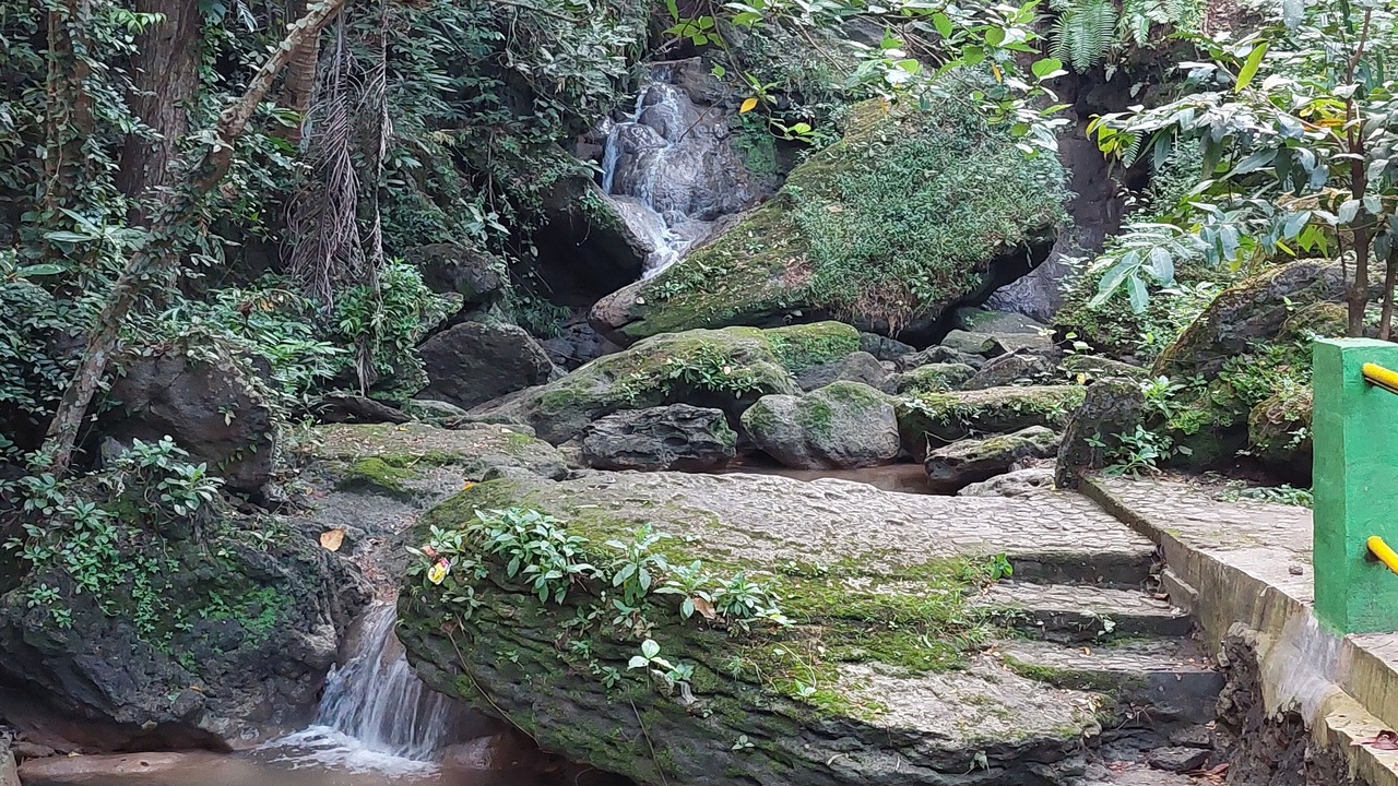 Photo of Outdoor in Bantul