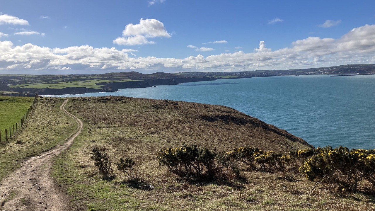 Photo of Others in Dinas Cross